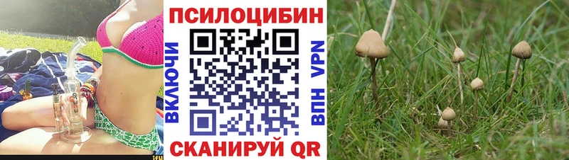 Псилоцибиновые грибы ЛСД  закладки  сайты даркнета формула  Балашов 